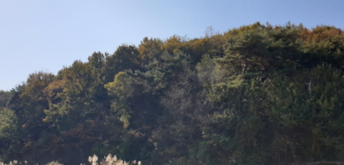 목록 2. 전경