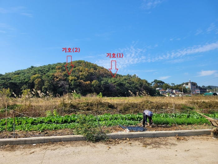 본건