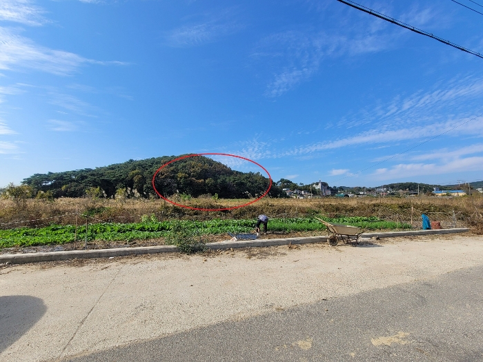 본건 주변