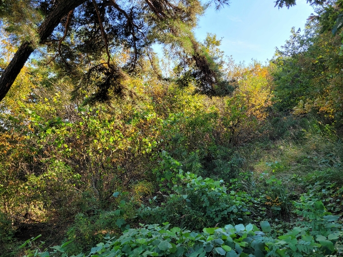 본건 현황