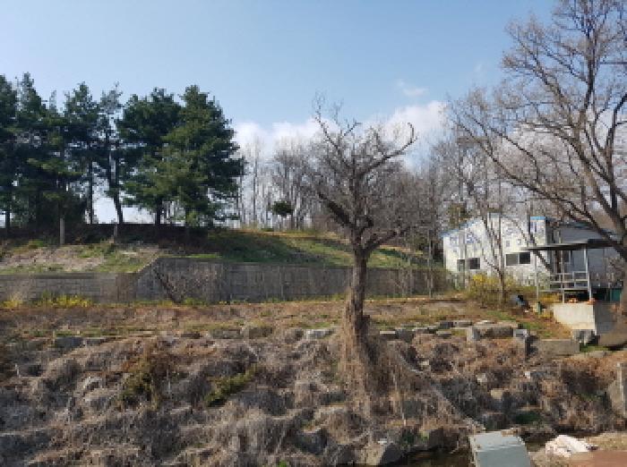 목록 1. 부동산 원경 2