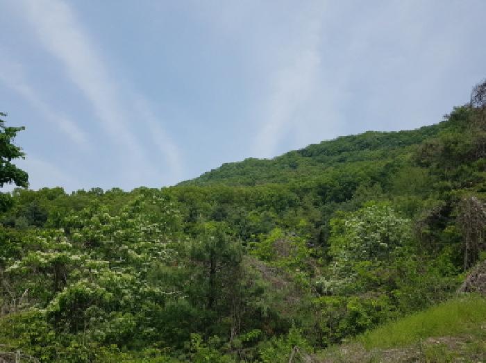 원경 2