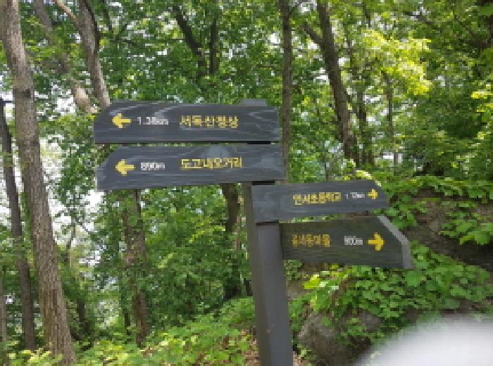 본건 부동산(좌측 방향) 가는 길