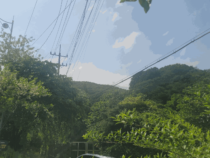 기호(1)
