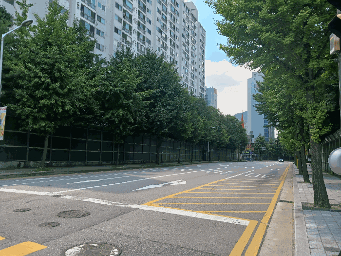 대상물건 인접 도로 주변