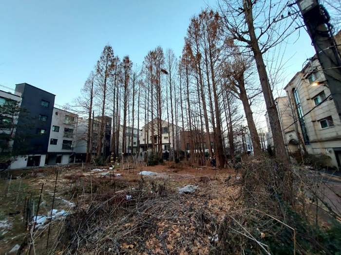 대상토지 및 주변전경