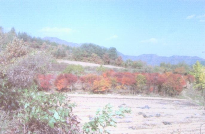 2006타경10022[22]