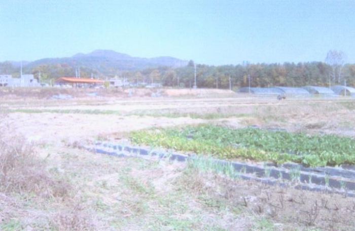 2006타경10022[22]