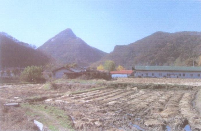2006타경10022[22]