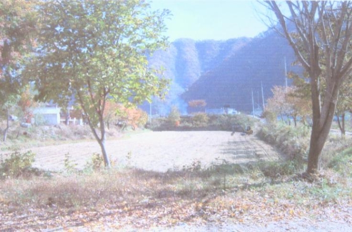 2006타경10022[22]