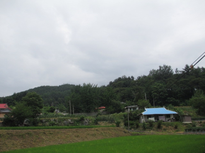 2006타경10022[22]
