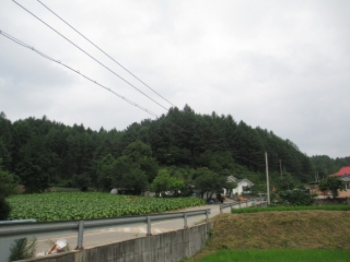 2006타경10022[22]
