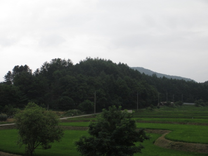 2006타경10022[22]