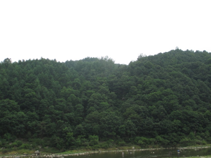 2006타경10022[22]