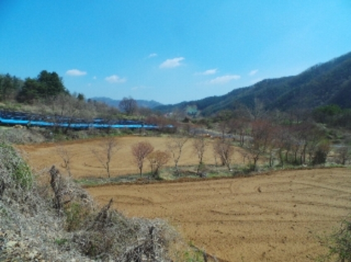 2006타경10022[22]