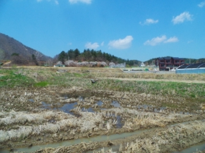 2006타경10022[22]