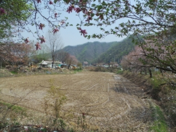 2006타경10022[22]