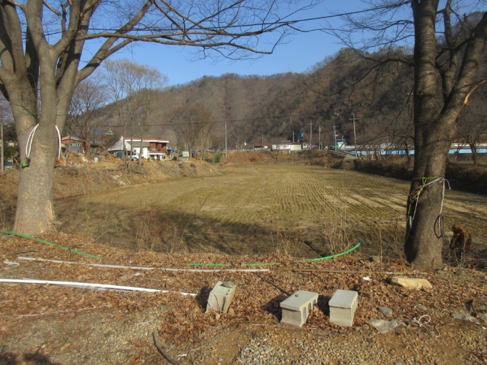 2006타경10022[22]