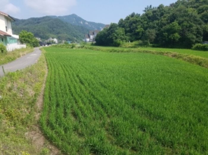 2021타경52210