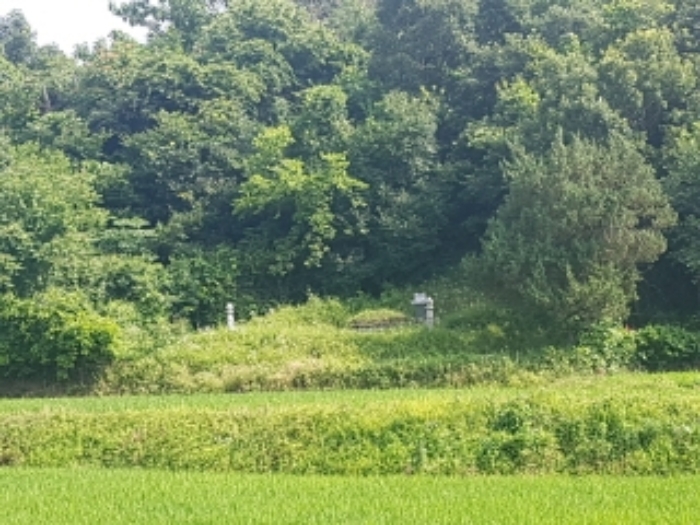 2021타경52210