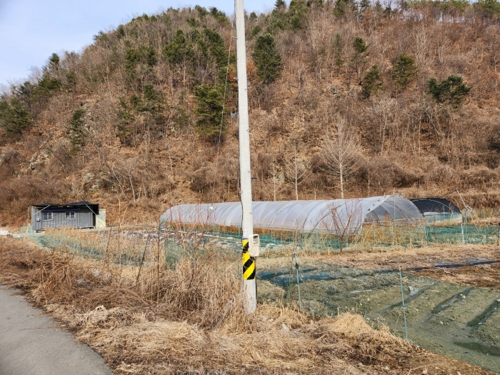 본건 전경