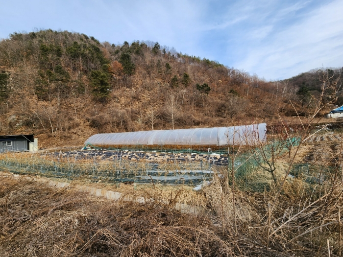 본건 전경