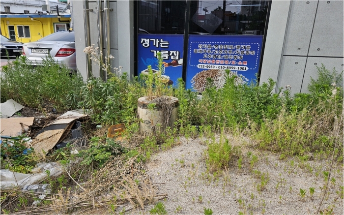 <기호1 잔존 기초공사 파일>