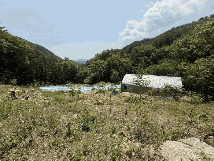 본건전경-기호(1,2), 파이프조하우스