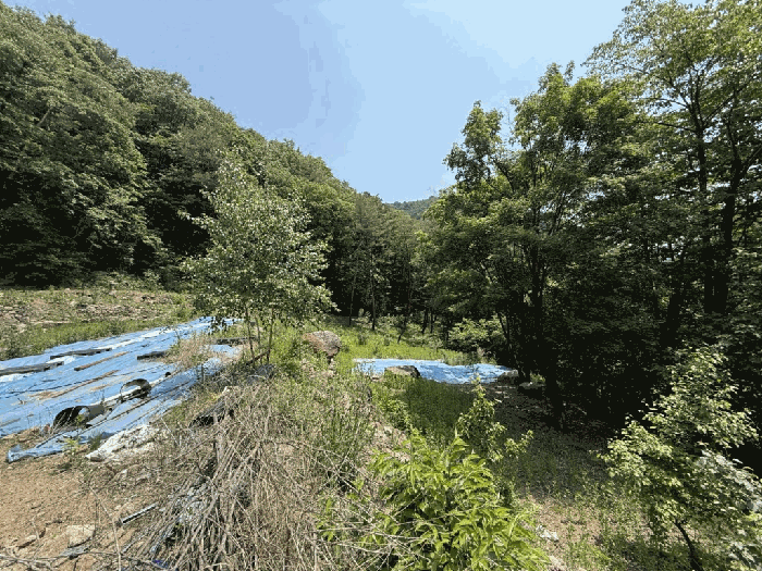 본건전경-기호(1,2)