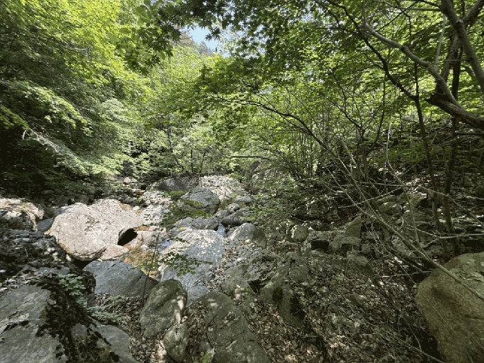 기호(2)인접하천
