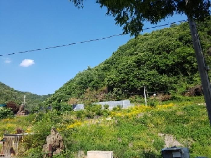 제시부동산 목록5,6번