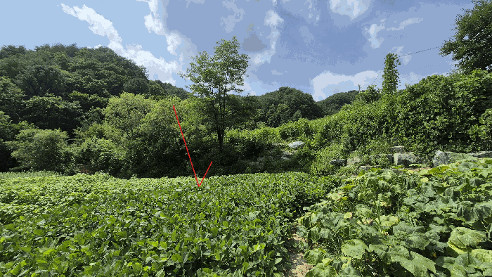 본건 전경(기호1,전부분)