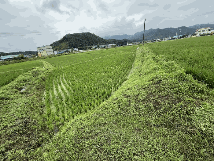 본건전경