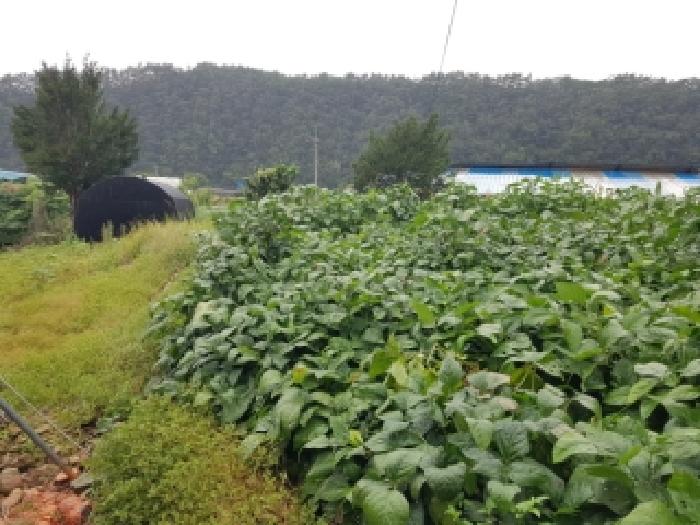제시부동산 전경1