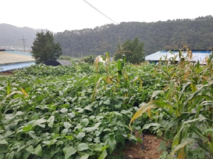 제시부동산 전경2