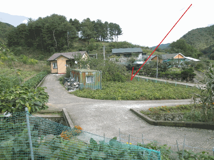 본건 전경