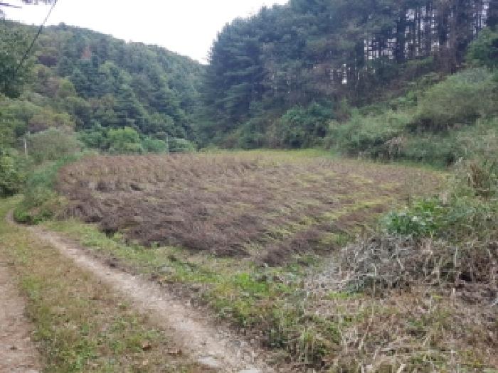 제시부동산 목록5번