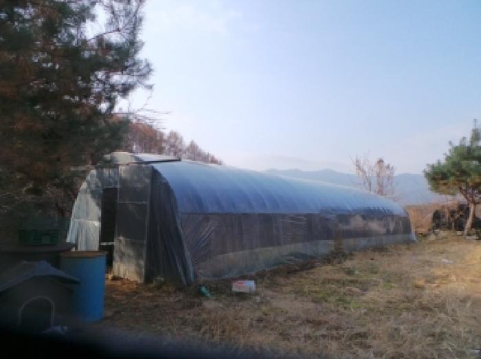 사진10번 [목록번호1번 및 동소 263번지 양지상에 소재하는 것으로 목측되는 철
