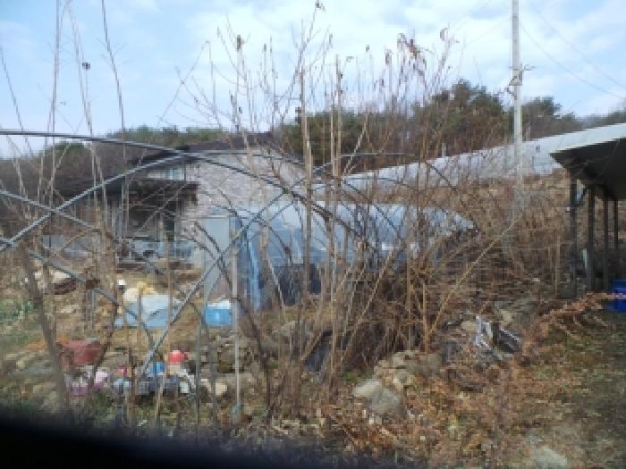사진21번 [목록번호2번 부동산에 소재하는 것으로 목측되는는 철파이프조 하우스 및