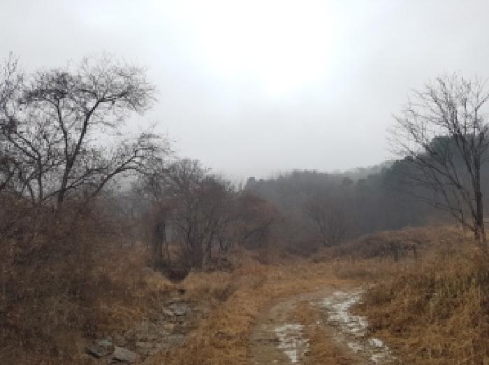 제시부동산 전경