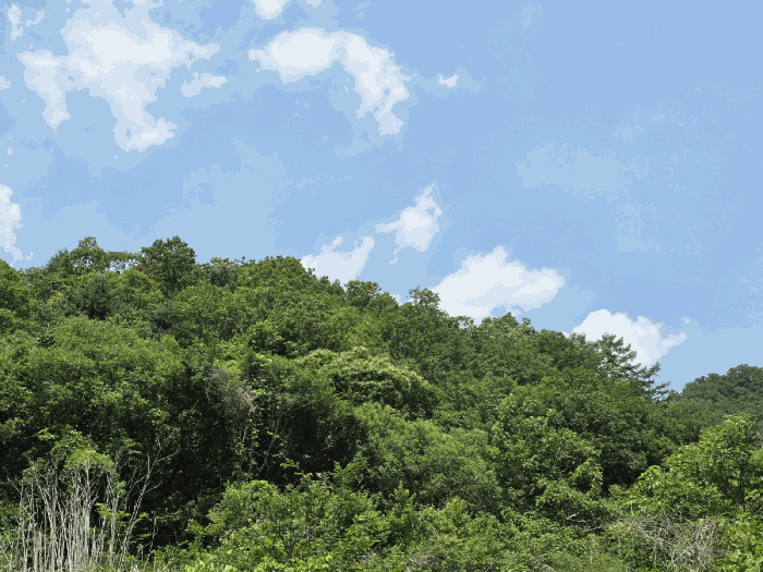 본건 전경