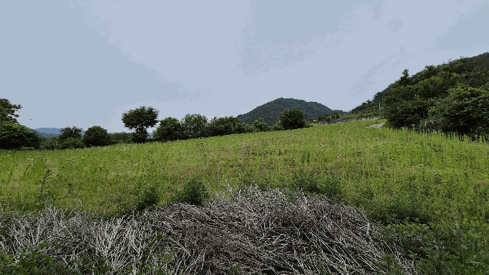 본건 전경
