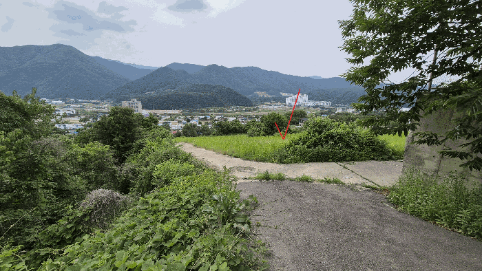 본건 전경