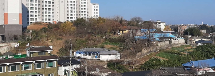 2022타경1564