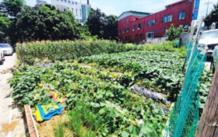 본 건(북측 촬영)