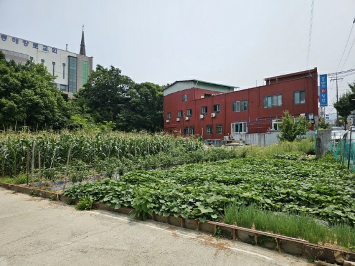 본건 근경
