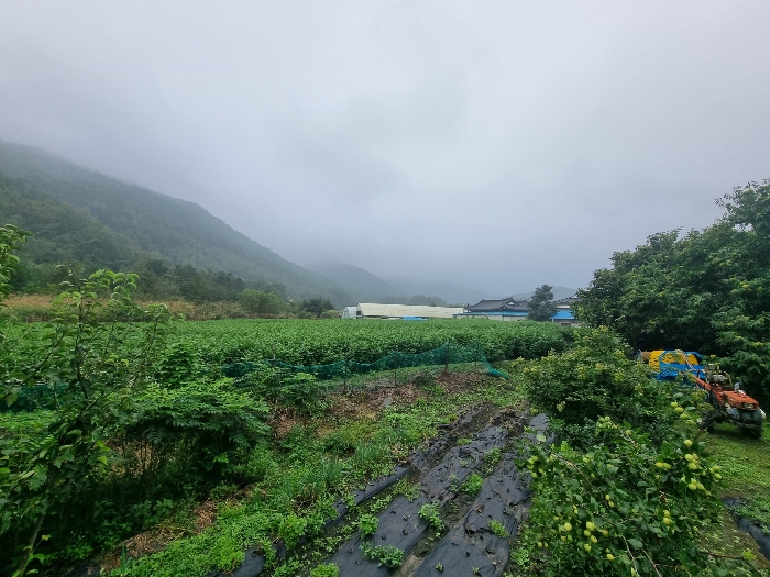 대상 전경