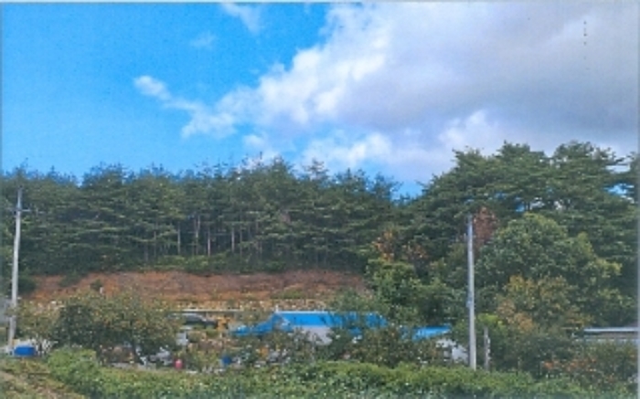 기호2번 북측에서 촬영