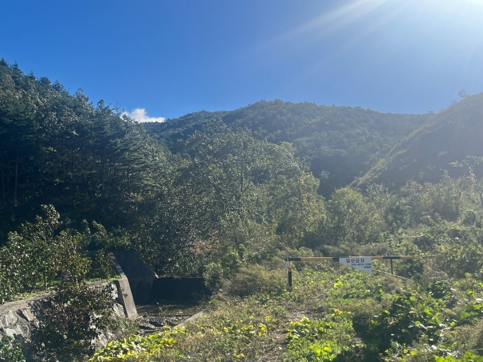 일렬번호 1 전경