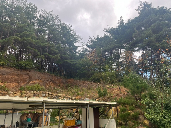 일렬번호 2 전경 / 남측 촬영